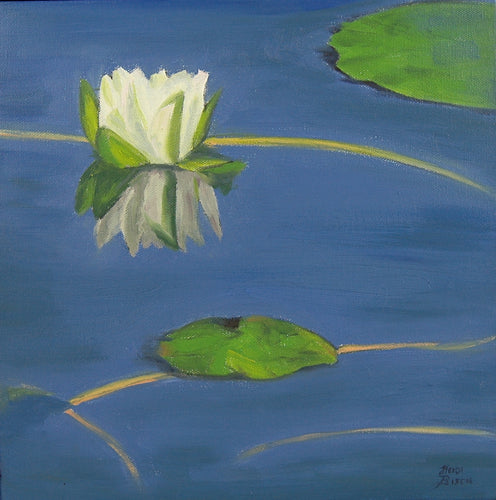 Lily Pad